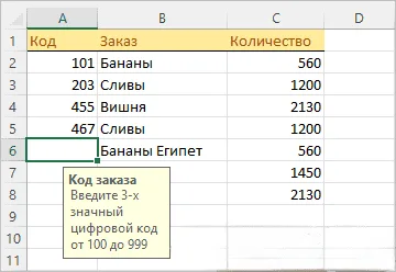 Как выглядит пояснение по вводу при проверке данных в ячейке
